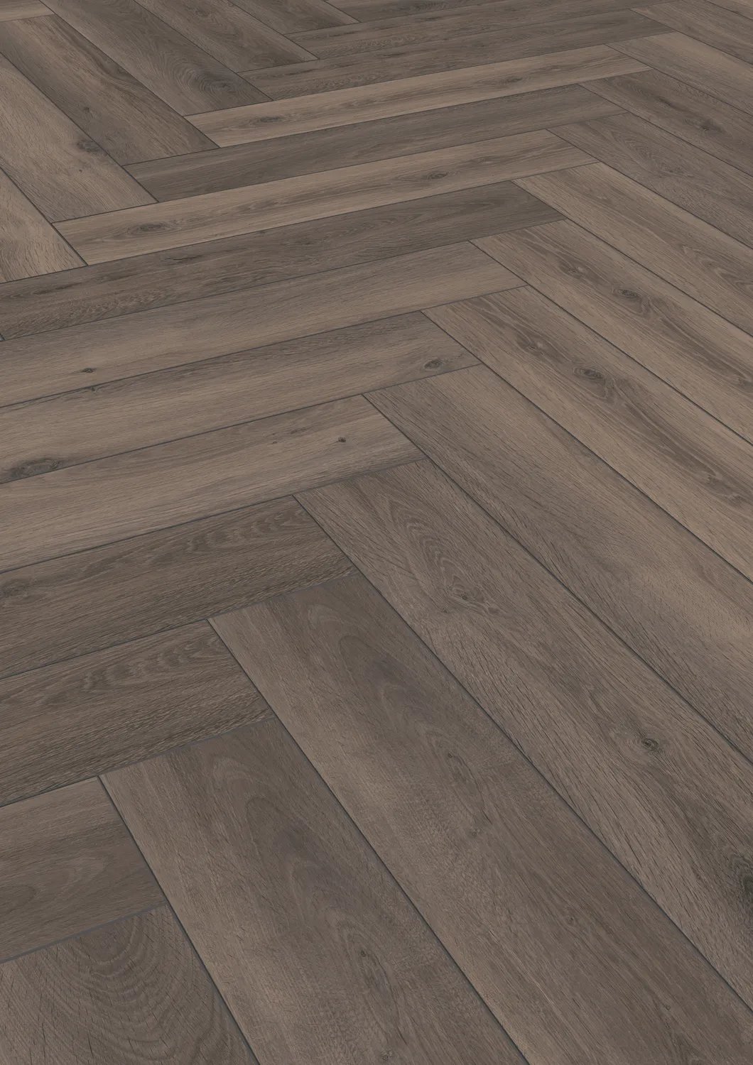 Ferrara Oak